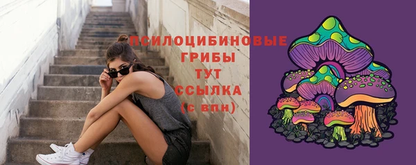 Альфа ПВП Армянск