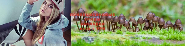 марки nbome Аркадак