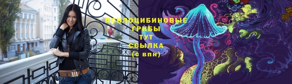 Альфа ПВП Армянск